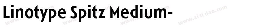 Linotype Spitz Medium字体转换